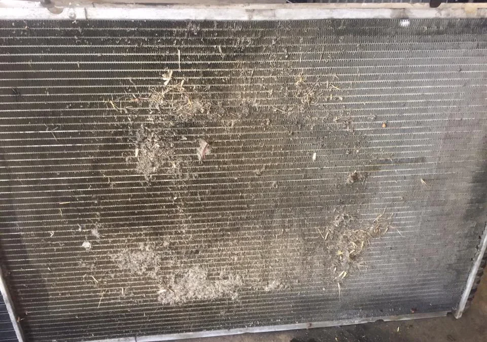 Automotive Repair Visalia | best automotive repair shop